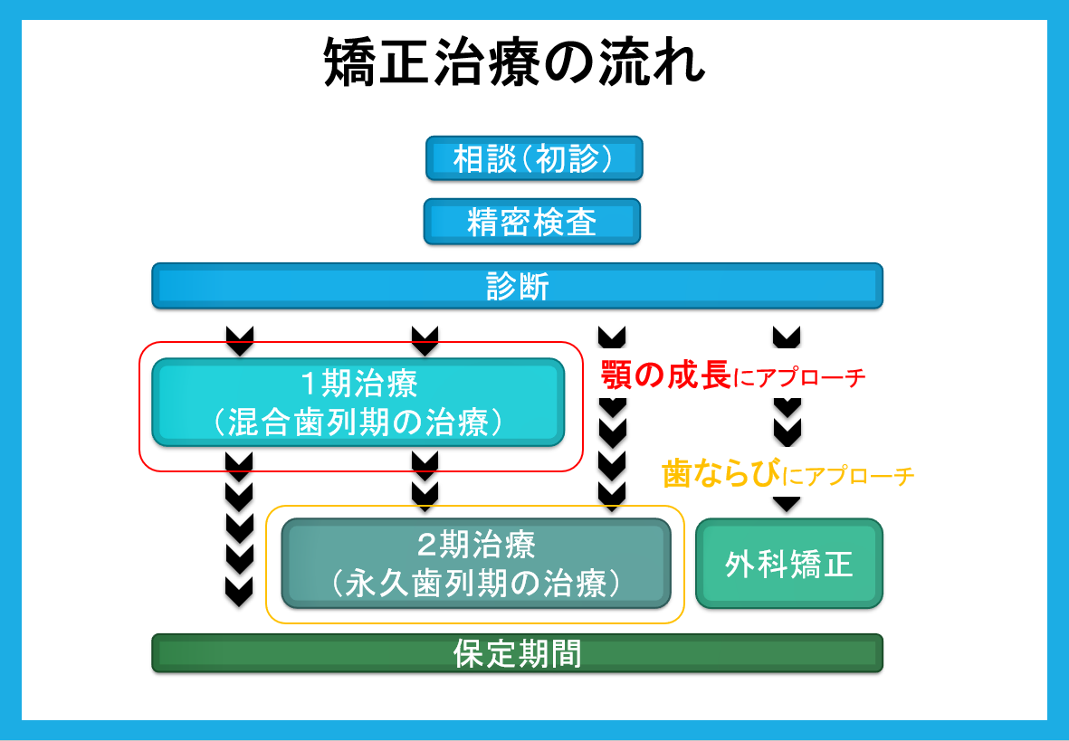 矯正治療の流れ